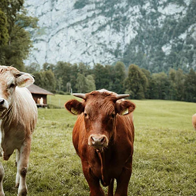 穿越数字边界的钥匙：vmess节点的多重妙用与深度解析