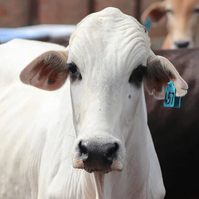 深度剖析与实用指南：如何彻底解决V2Ray频繁超时问题